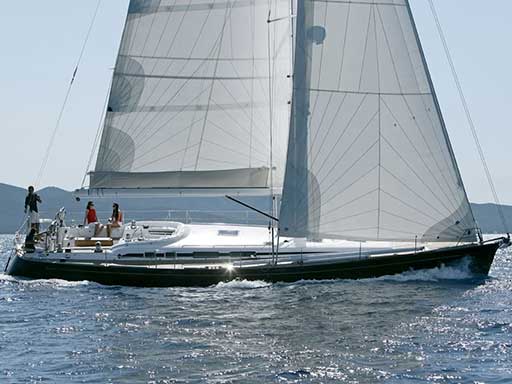 Swan53